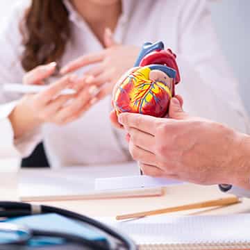 Examining_Model_of_Human_Heart_360x360_Q50